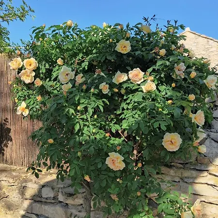 Privee - De L Acacia Gæstehus